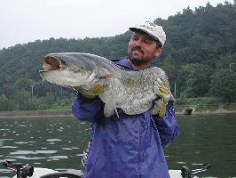 Foto: Siluro europeo