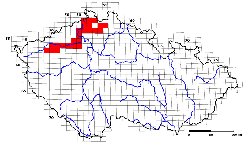 Foto: Salmón común - distribución