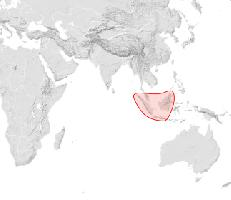 Foto: Abeja de koschevnikov - distribución