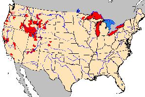 Foto: New zealand mud snail - distribución