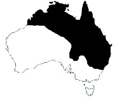 Foto: Rana arborícola verde de australia - distribución