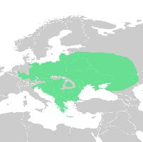 Foto: European green toad - distribución