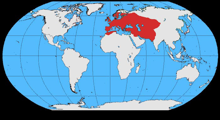 Foto: Grajilla occidental - distribución