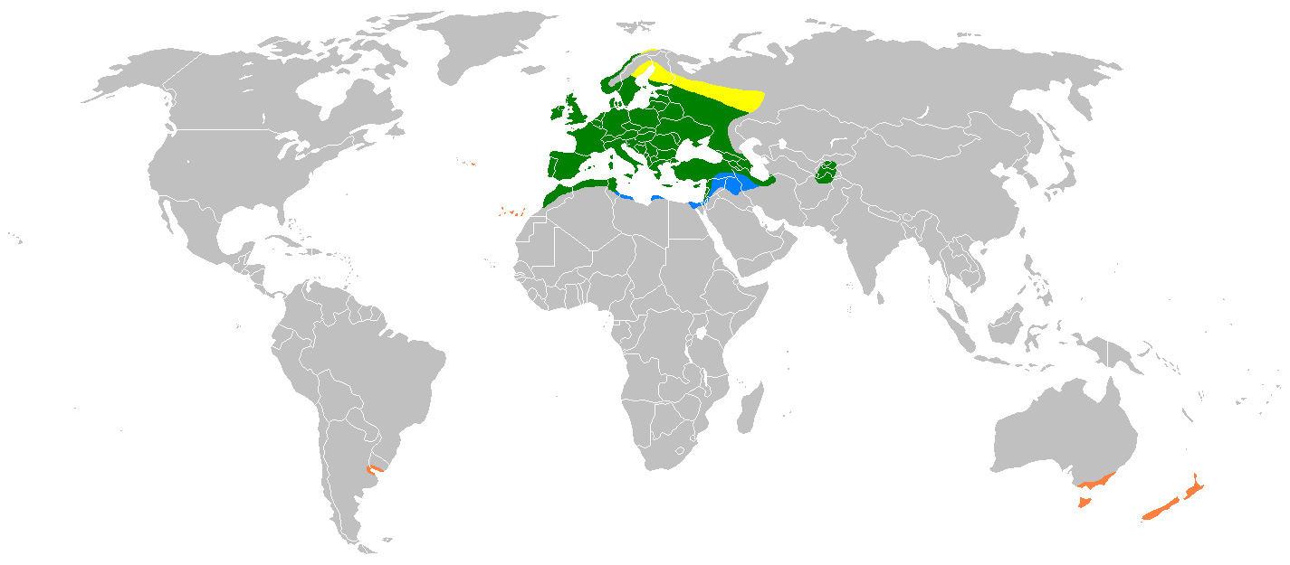 Foto: Verderón europeo - distribución