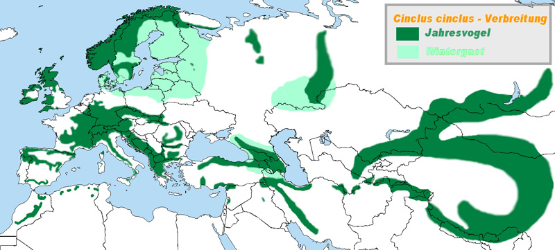 Foto: Mirlo acuático europeo - distribución
