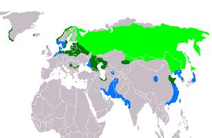 Foto: Pigargo europeo - distribución
