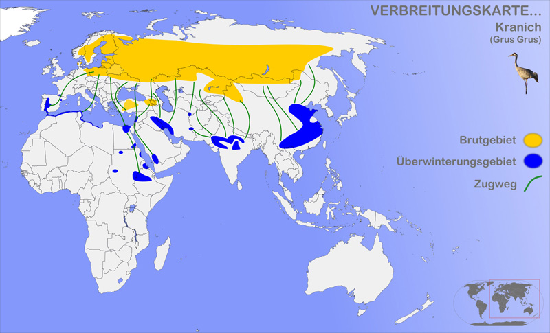 Foto: Grulla común - distribución