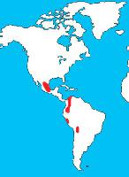 Foto: Guacamayo verde - distribución