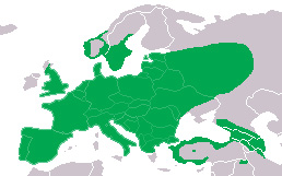 Foto: European green woodpecker - distribución