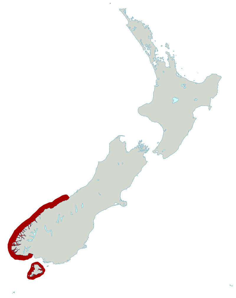 Foto: Pingüino de fiordland - distribución