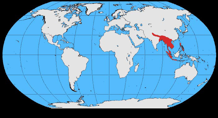 Foto: Gallo - distribución