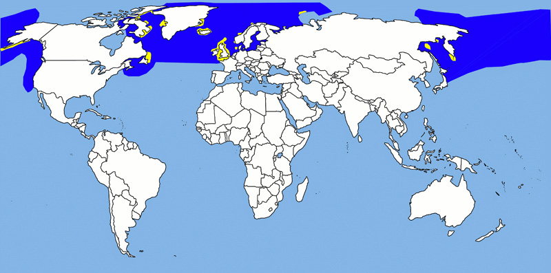 Foto: Northern fulmar - distribución