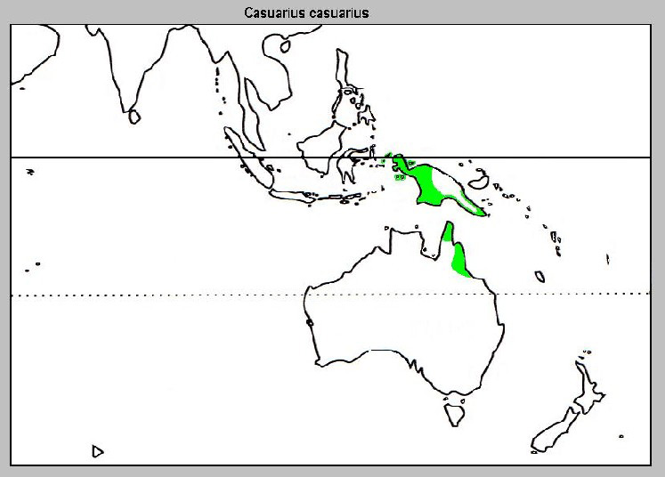 Foto: Casuario común - distribución