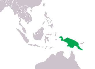 Foto: Cocodrilo de nueva guinea - distribución