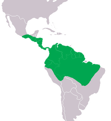 Foto: Caimán de anteojos - distribución
