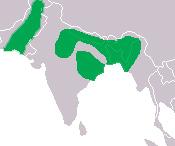 Foto: Gharial - distribución