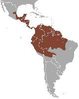 Foto: Zarigüeya común - distribución