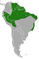 Foto: Marmosa común - distribución