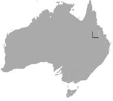 Foto: Wombat del norte - distribución