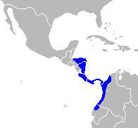 Foto: Mono carablanca - distribución