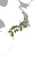 Foto: Macaco japonés - distribución