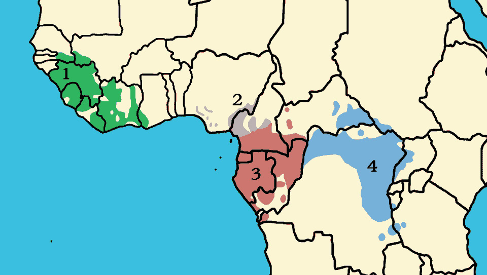 Foto: Chimpancé común - distribución